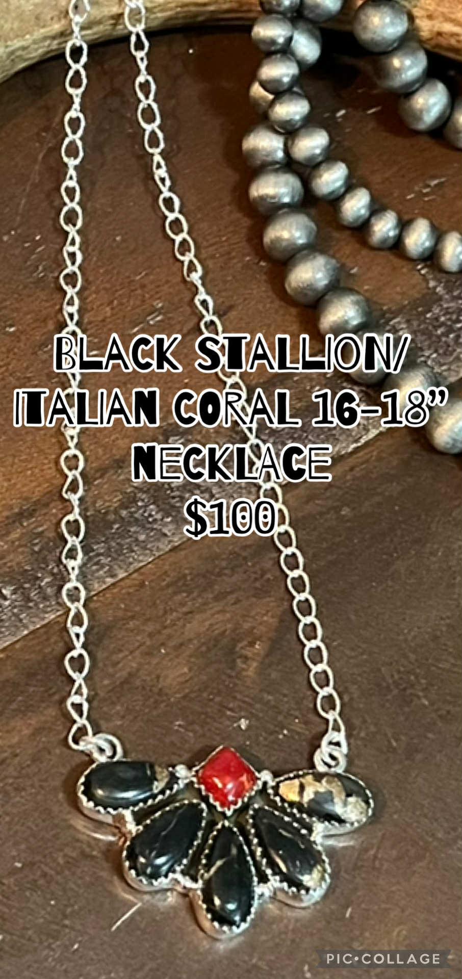 Black Stallion/Italian Coral Necklace