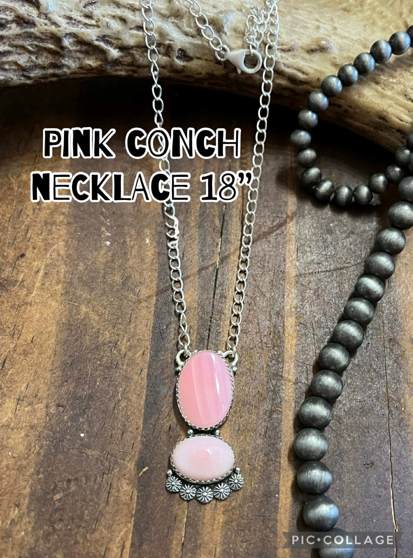Pink Conch