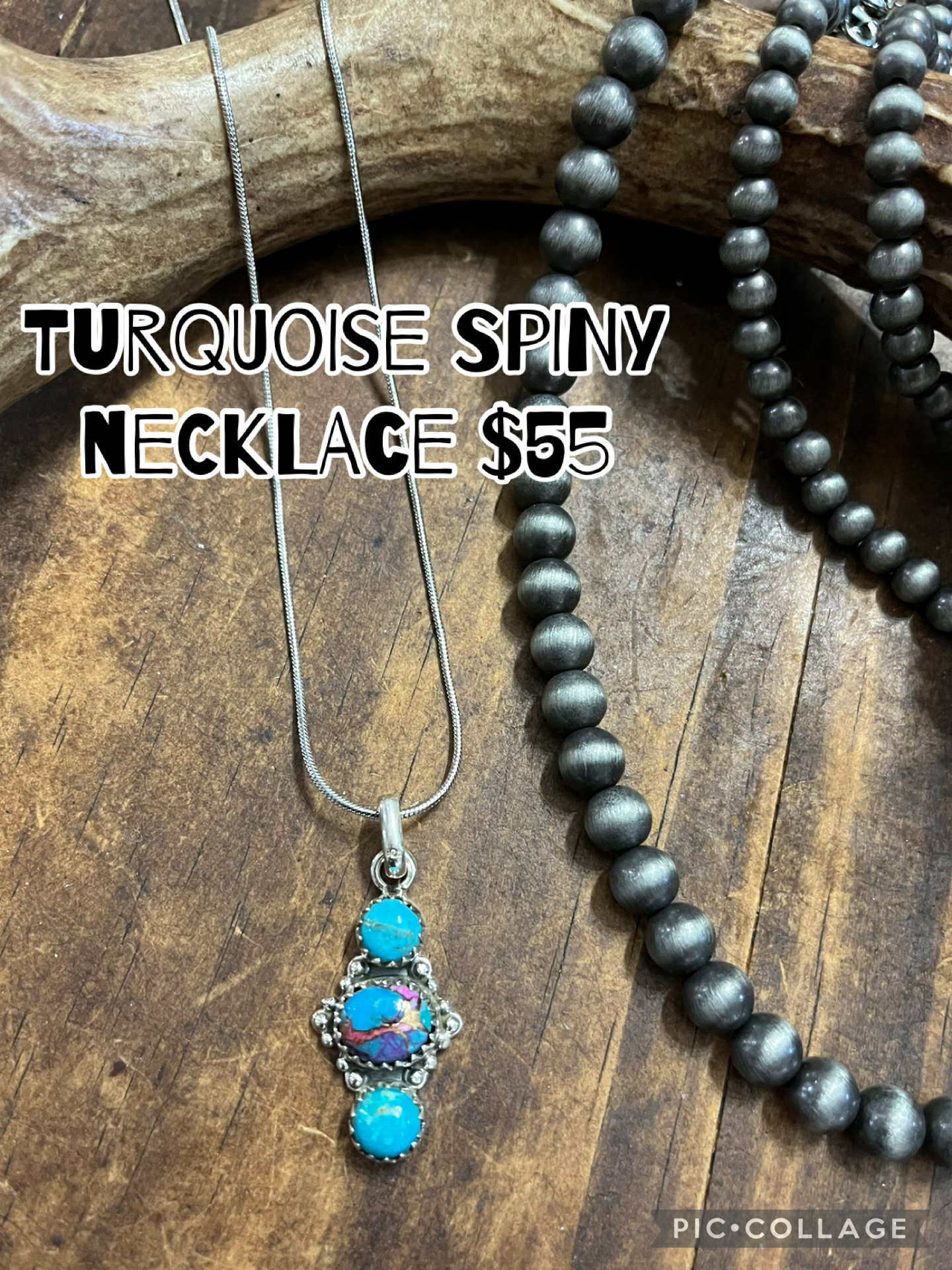 Turquoise Spiny Necklace